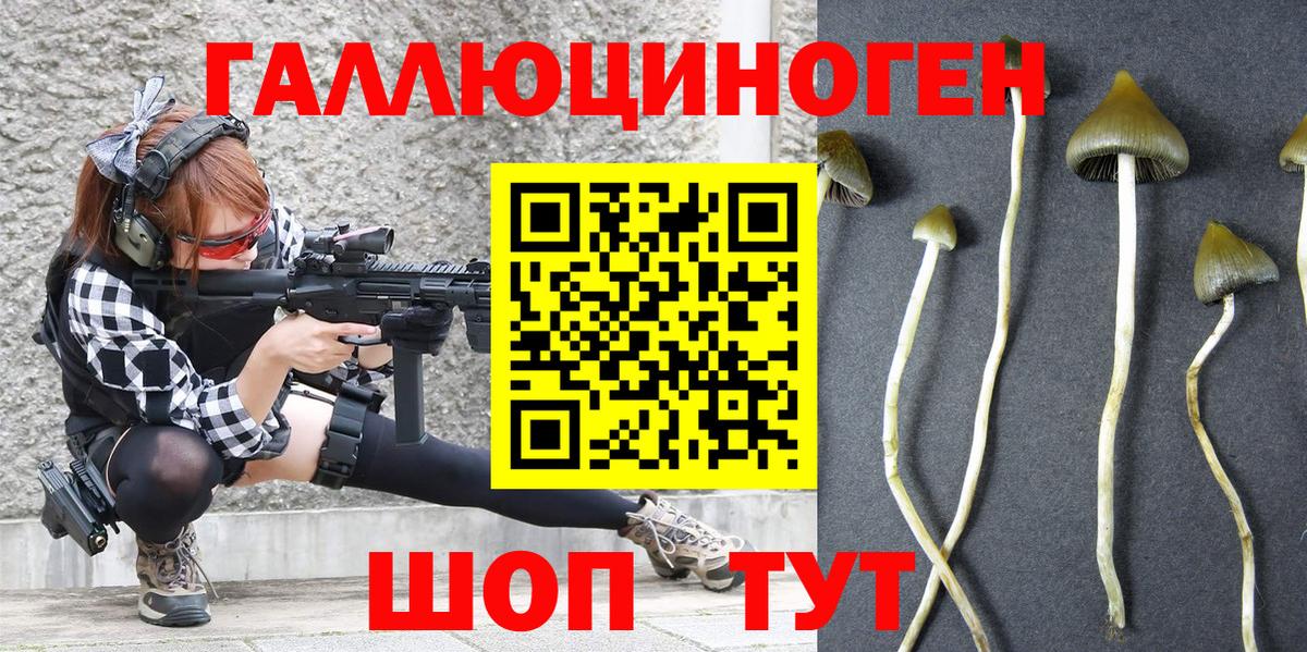 Гашиш Новоалександровск